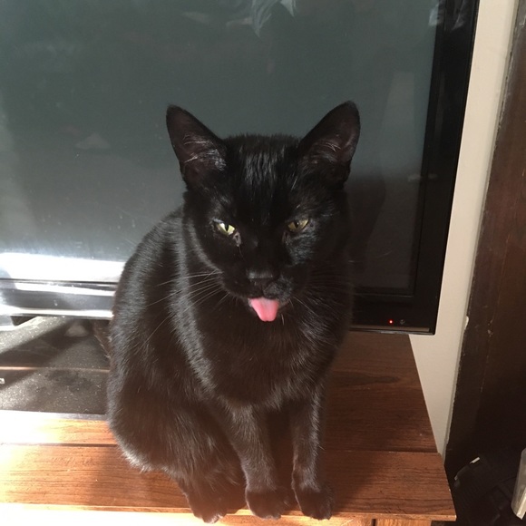 Meet your Posh Ambassador, Jenna R GG R Grandma! All Customers R Loved By Me ❤️ - Picture 14 of 17